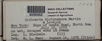 Image Associated With the Occurence